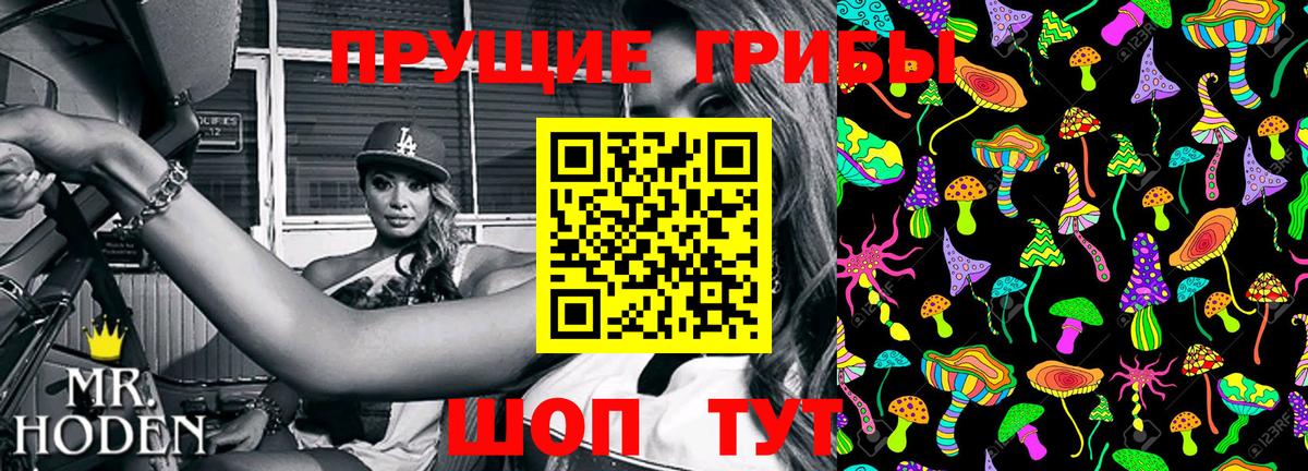 Псилоцибиновые грибы мицелий Чернушка