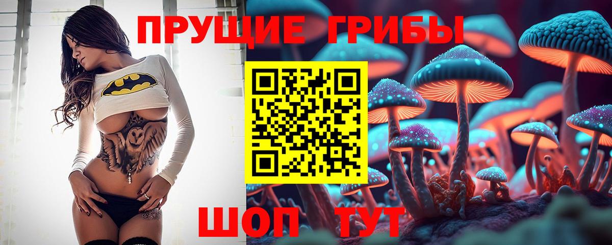 Галлюциногенные грибы мухоморы  наркота  Чернушка  Вход с VPN  Псилоцибиновые грибы Cubensis 