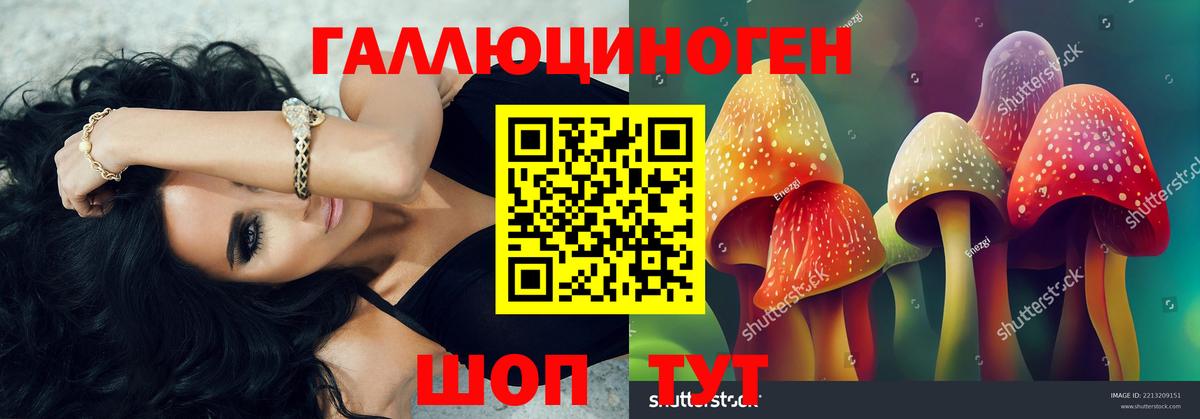 Псилоцибиновые грибы прущие грибы  Чернушка 